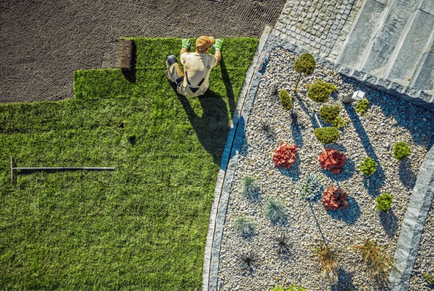 Landscaping Services in Dubai