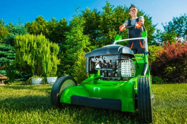Landscaping Services in Dubai